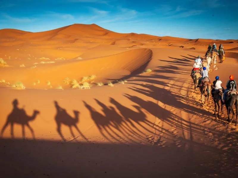 Where-to-Ride-Camels-in-Morocco.webp