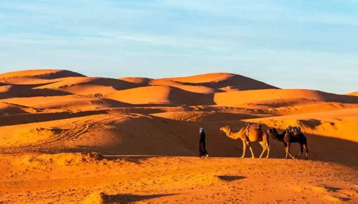 Marrakech Desert Tours 4 Days to Merzouga (4)