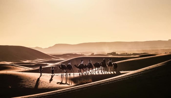 Marrakech-Desert-tours-3-Days (4)