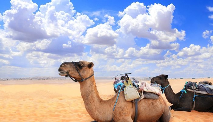 4 Days Tour from Fes to Marrakech (2)