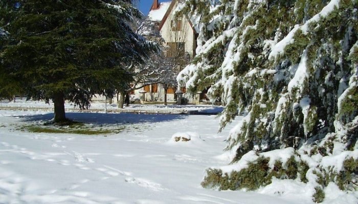 visite-alentours-fes-ifrane